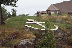 C5D_099950