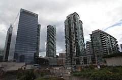 C5D_099965