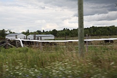 C5D_100144