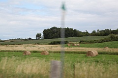 C5D_100147
