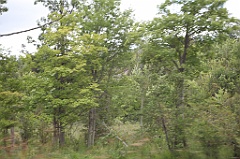 C5D_100148