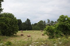 C5D_100159