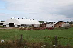 C5D_100160