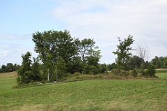C5D_100164