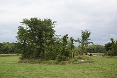 C5D_100165