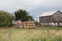 C5D_100167