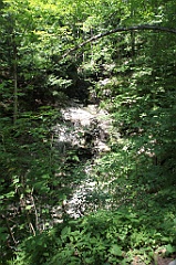 C5D_100196