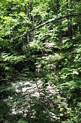 C5D_100199