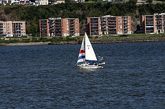 IMG_000784
