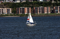 IMG_000785