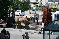 IMG_000794