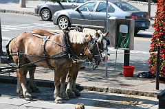 IMG_000795
