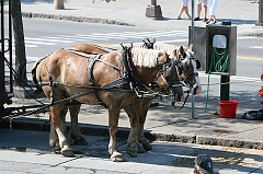 IMG_000796