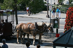 IMG_000797