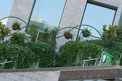 IMG_000827
