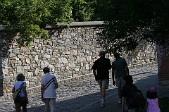 IMG_000875
