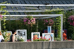IMG_000897