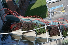 IMG_000898
