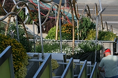 IMG_000899