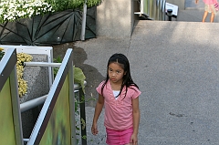 IMG_000909