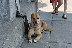 IMG_000914