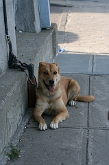 IMG_000915