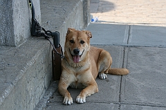 IMG_000917