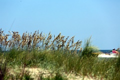4L4C2569