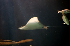 4L4C2630