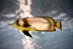 4L4C2632