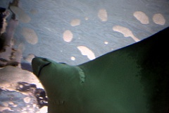 4L4C2641