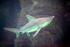4L4C2680