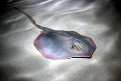 4L4C2686