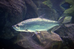 4L4C2705