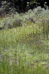 4L4C2729