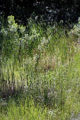 4L4C2730