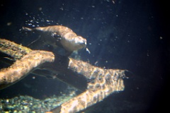4L4C2735