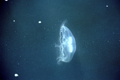 4L4C2779