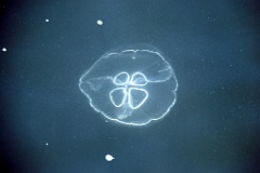 4L4C2782