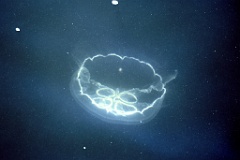 4L4C2783