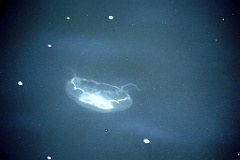 4L4C2784