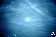 4L4C2785