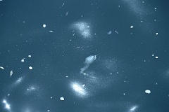 4L4C2794