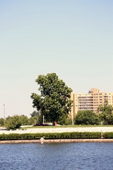 4L4C2873