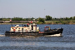 4L4C2890