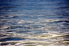 4L4C2895