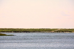 4L4C2914