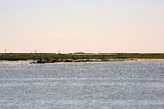 4L4C2921