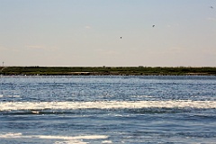 4L4C2924