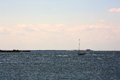 4L4C2929